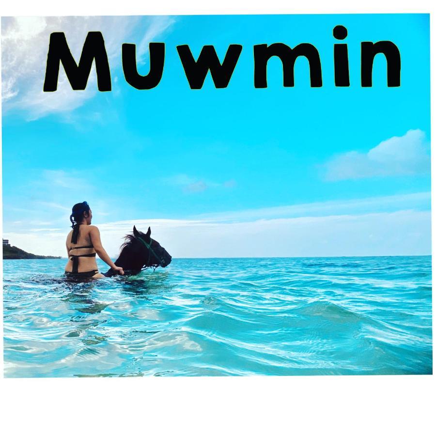 Muumin Farm Villa Nakijin Exteriör bild